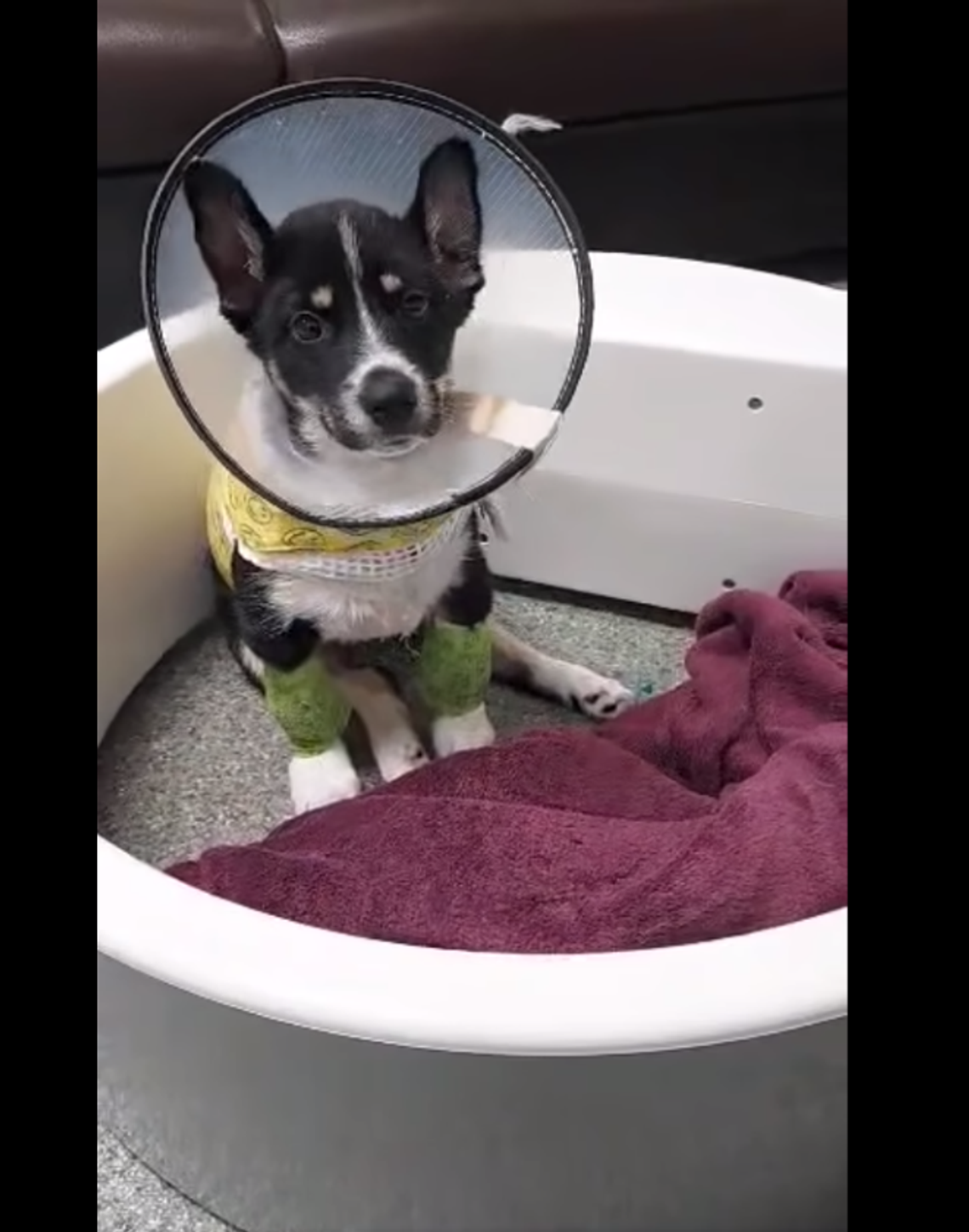 Piorun w trakcie rehabilitacji. Oprawca stanął przed sądem