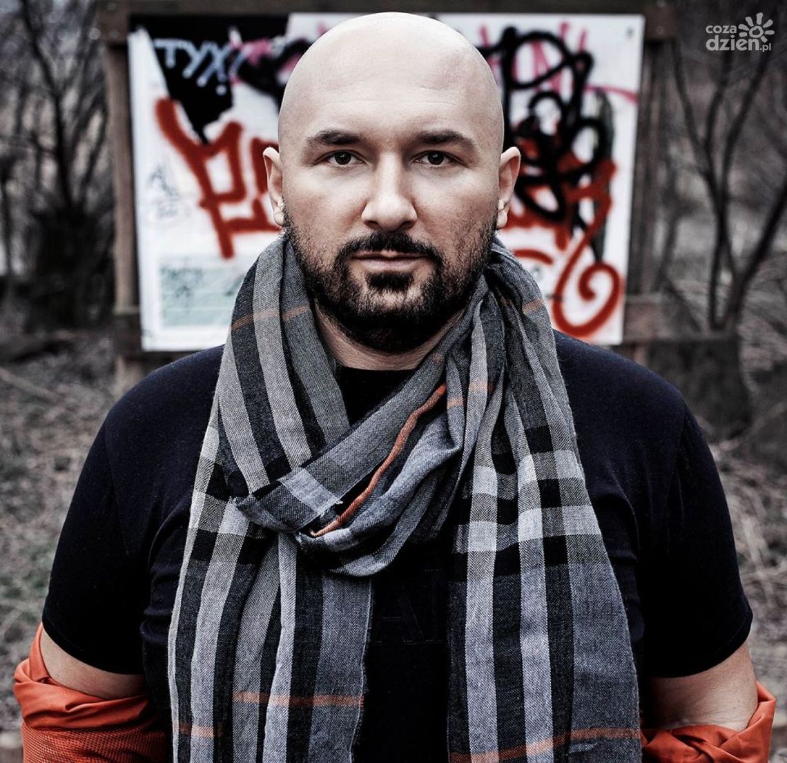 PITBULL WRACA NA EKRANY