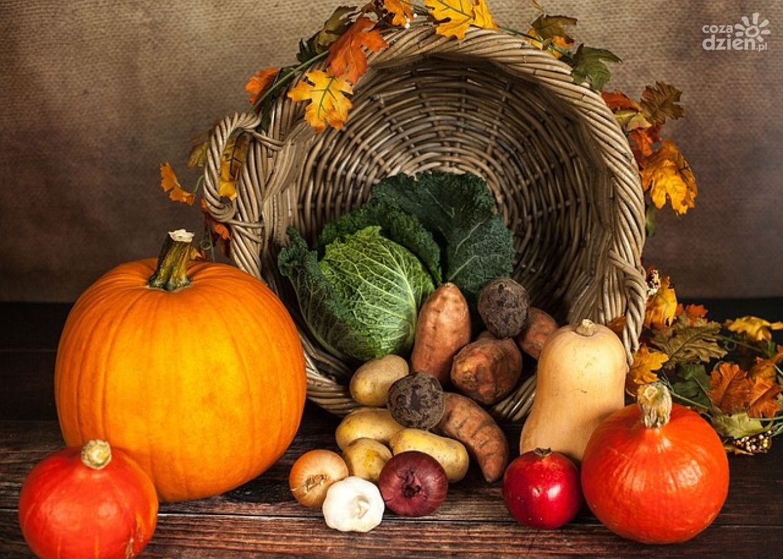 Piwnice betonowe w ogrodzie - zalety piwniczki 