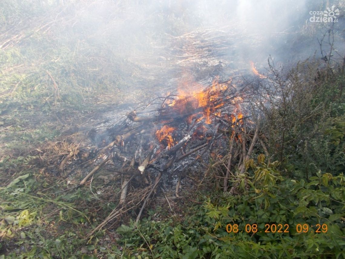 Planty. Wypalał odpady na działce Planty. Wypalał odpady na działce