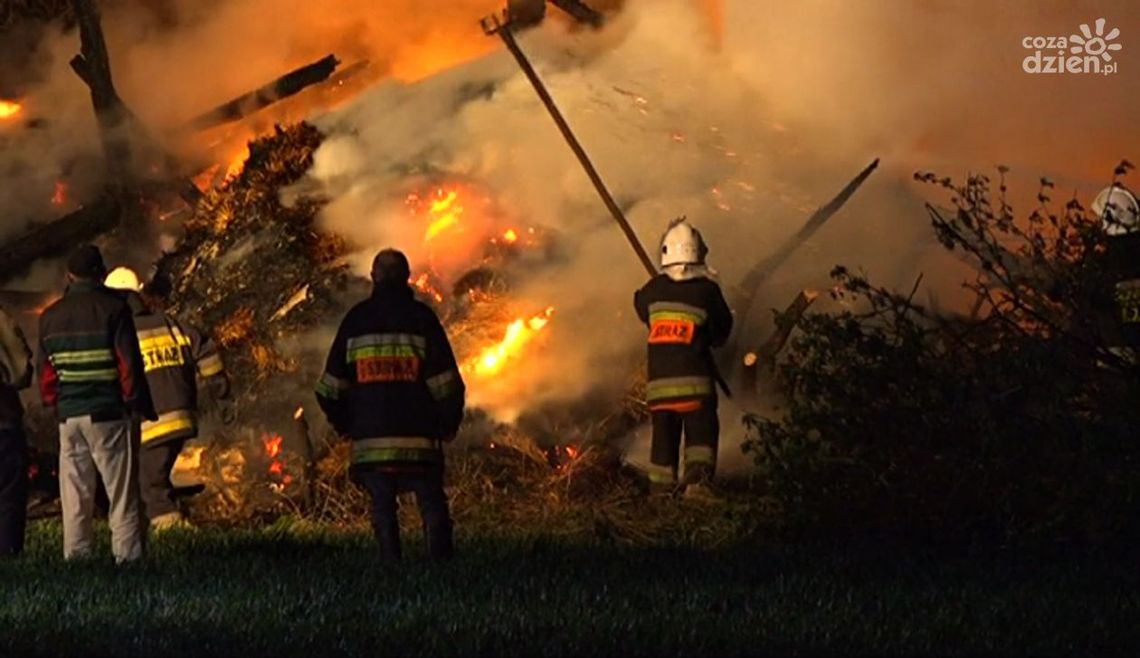 Płoną trawy i lasy. Apele strażaków nie skutkują Płoną trawy i lasy. Apele strażaków nie skutkują