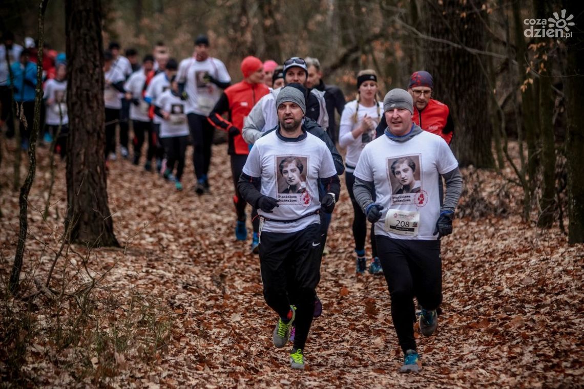 Pobiegną wilczym tropem