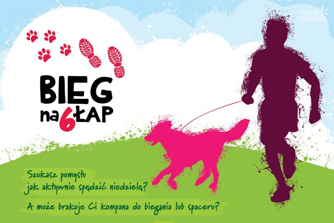 Pobiegnij z psem ze schroniska