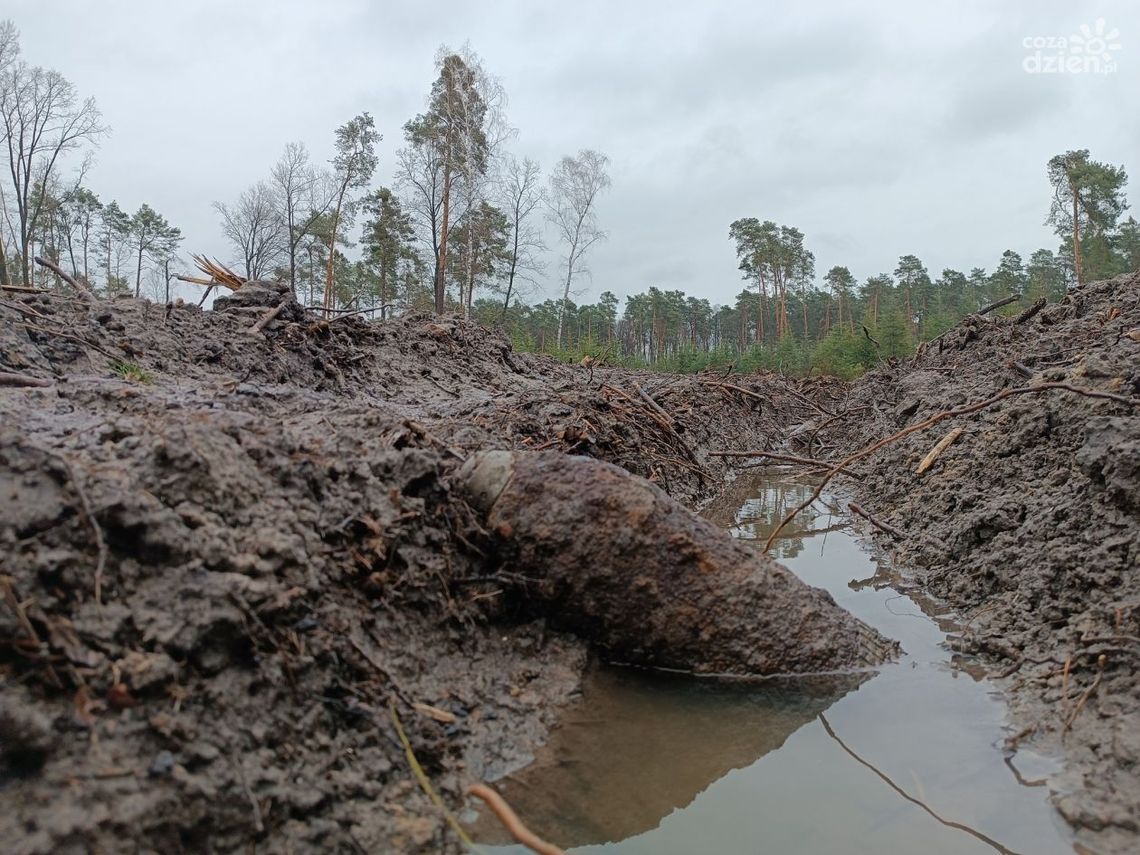 Pocisk artyleryjski wykopany w lesie pod Oblasem Pocisk artyleryjski wykopany w lesie pod Oblasem