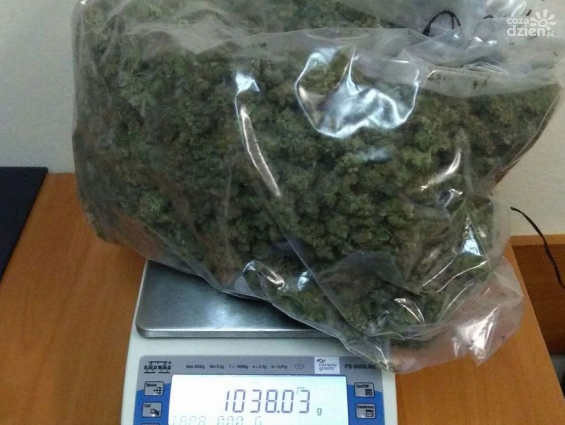 Podejrzani o przemyt narkotyków zatrzymani Podejrzani o przemyt narkotyków zatrzymani