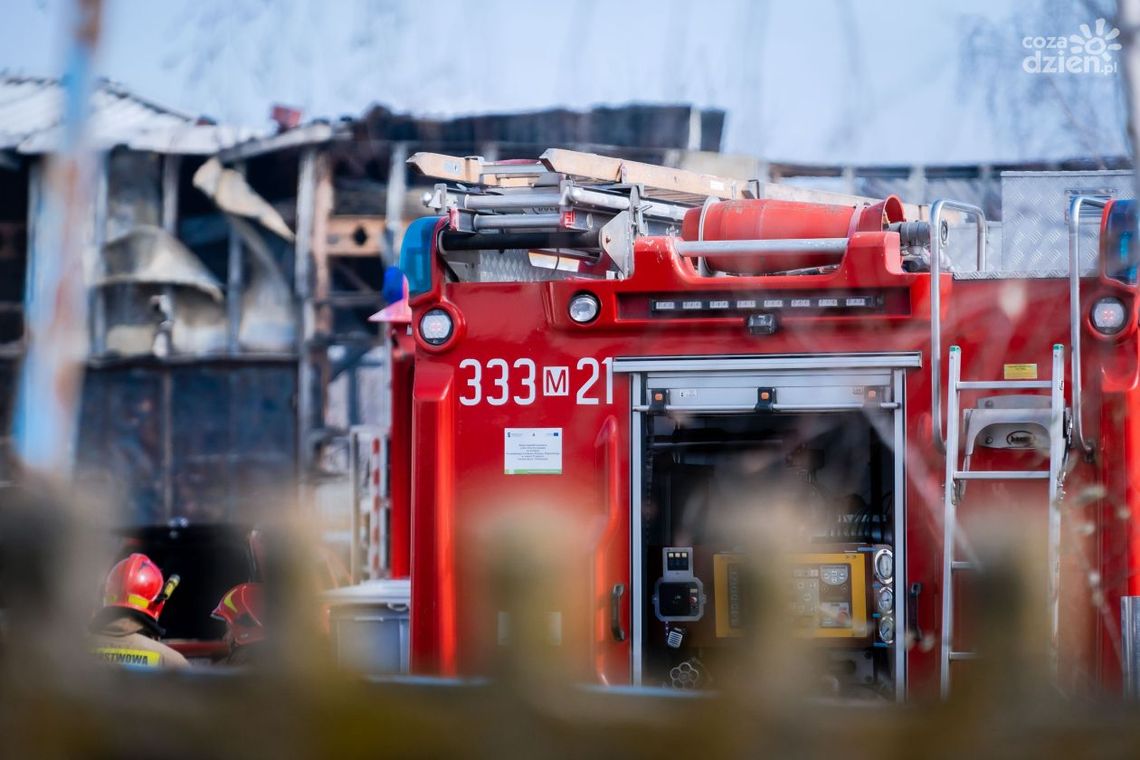 Podpalał wiaty śmietnikowe. Najbliższe miesiące spędzi w areszcie