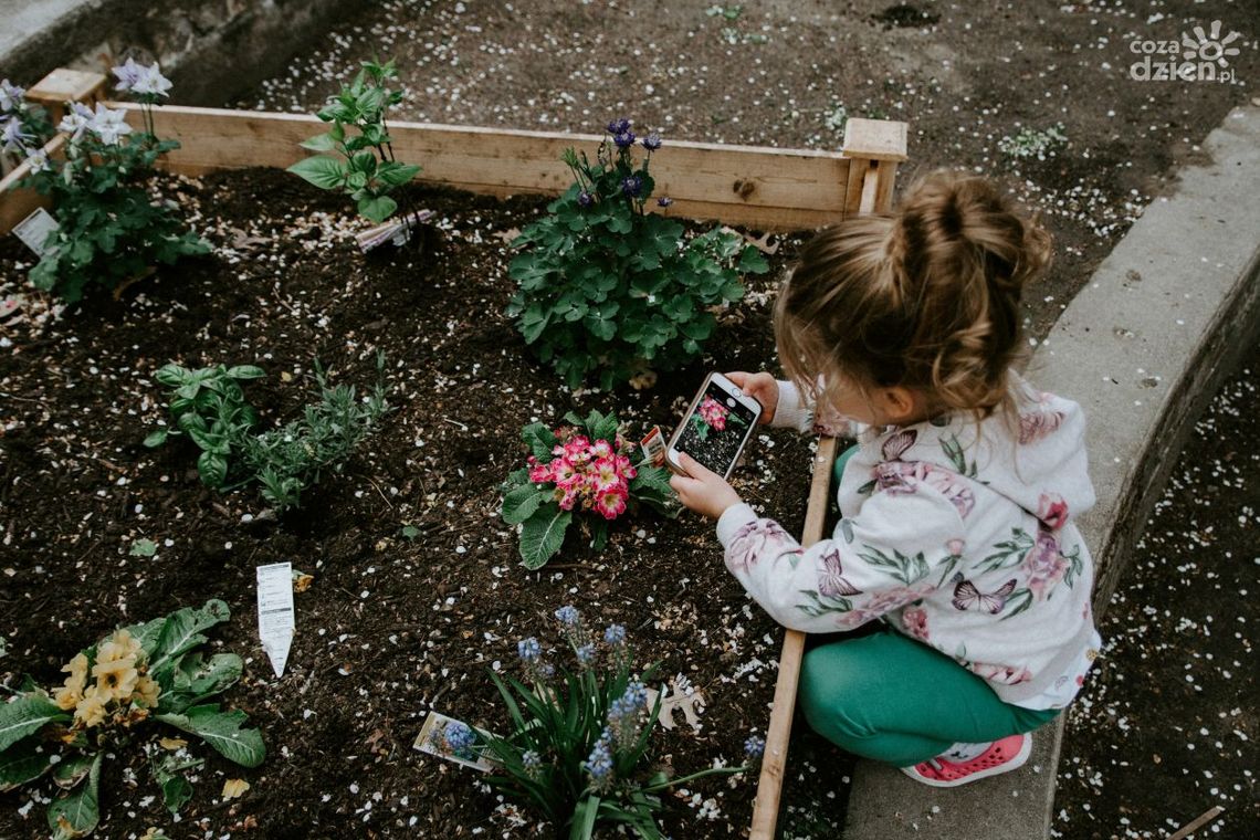 Podwyższone rabaty ogrodowe – z czego najlepiej je zrobić? 3 praktyczne pomysły