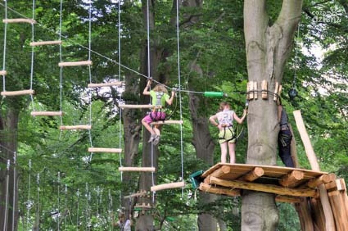 Podyndaj z Gekonem na majówce