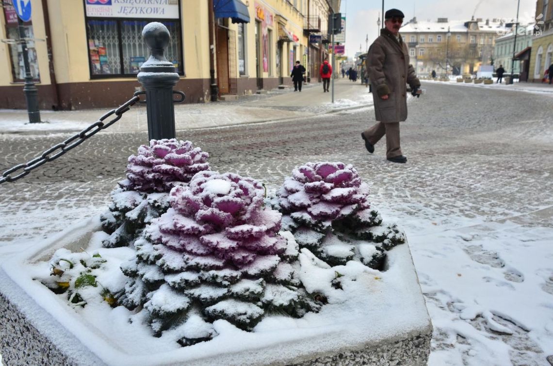 Pogoda w kratkę. Idzie fala mrozów