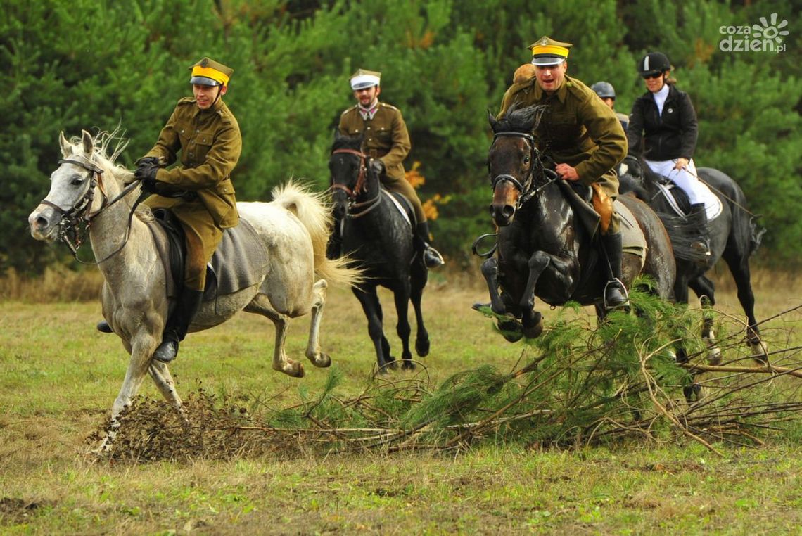 Pogoń za lisem (Zdjęcia) Pogoń za lisem (Zdjęcia)