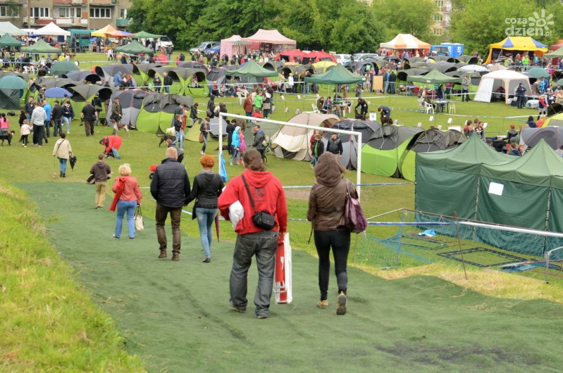 Pogryziona przez psa na wystawie