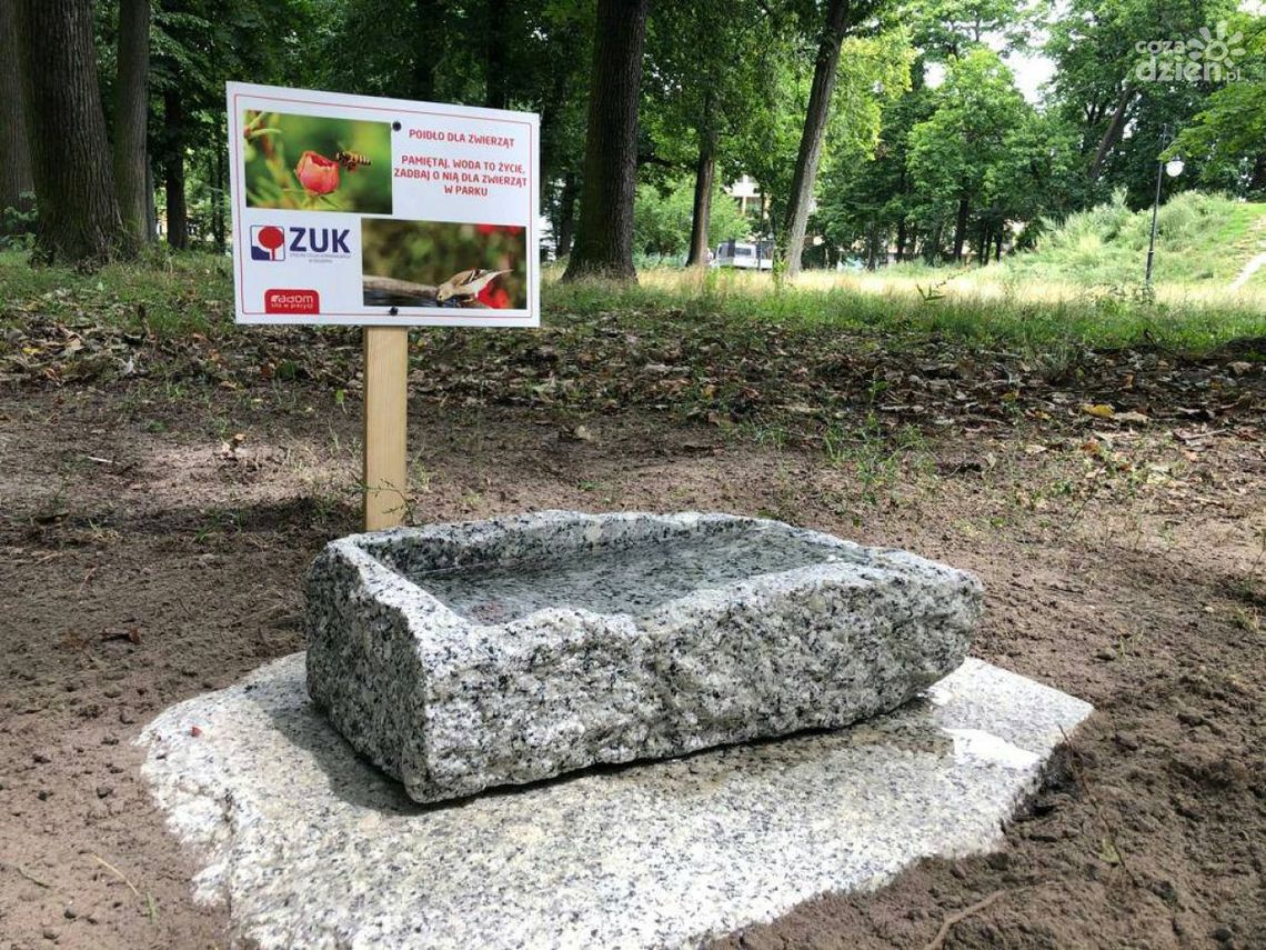 Poidła dla zwierząt stanęły w Radomiu