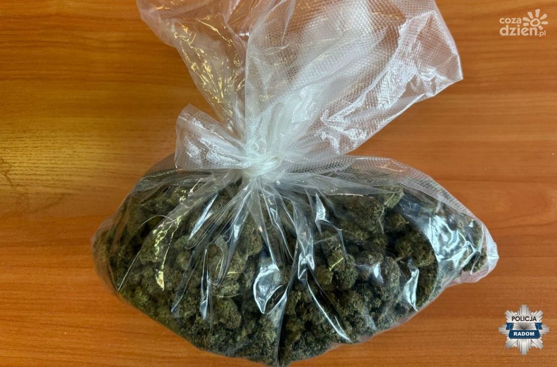 Pół kilograma narkotyków