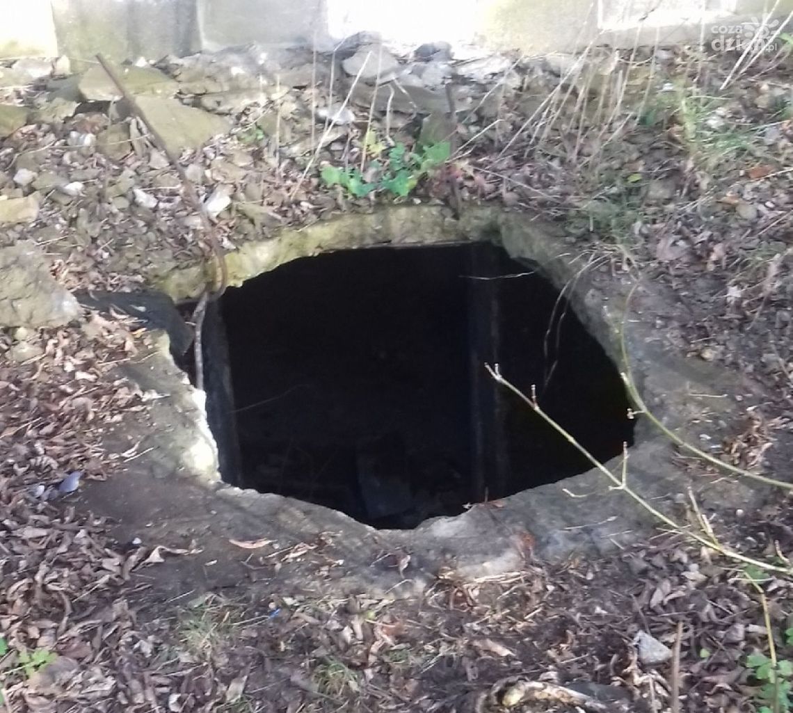 Połamali mu żebra i wrzucili do ruin kina?