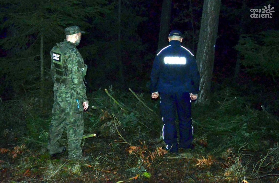 Policja ostrzega przed nielegalnym wycinaniem choinek