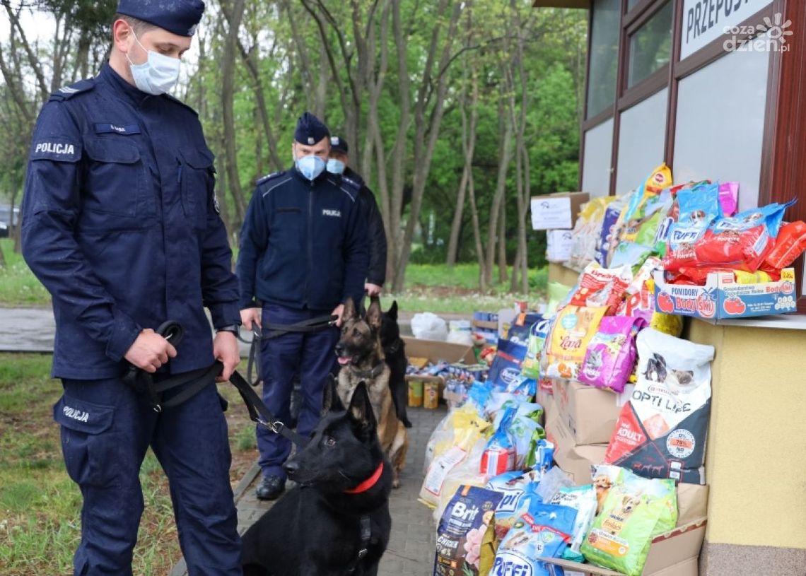 Policjanci przekazali ponad pół tony karmy dla schroniska