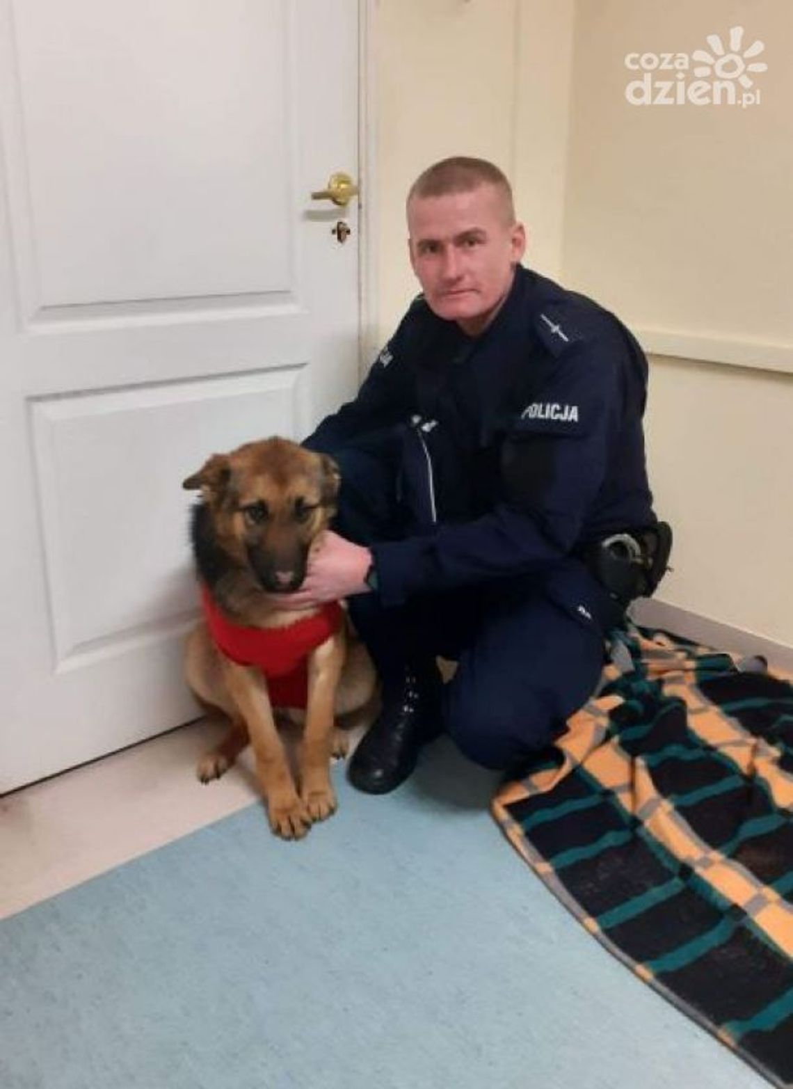 Policjanci przygarnęli porzuconego psa Policjanci przygarnęli porzuconego psa