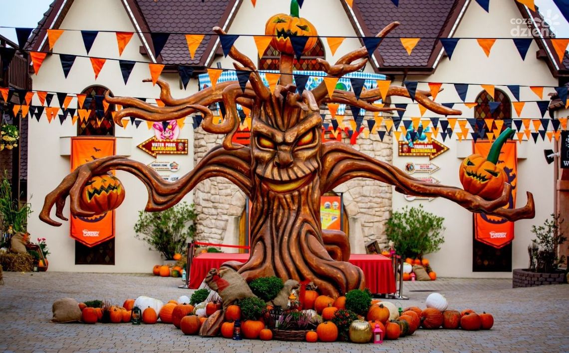 Polska Złota Jesień i Oktoberfest w Energylandii. Niezapomniane święto kolorów i biesiady! Polska Złota Jesień i Oktoberfest w Energylandii. Niezapomniane święto kolorów i biesiady!