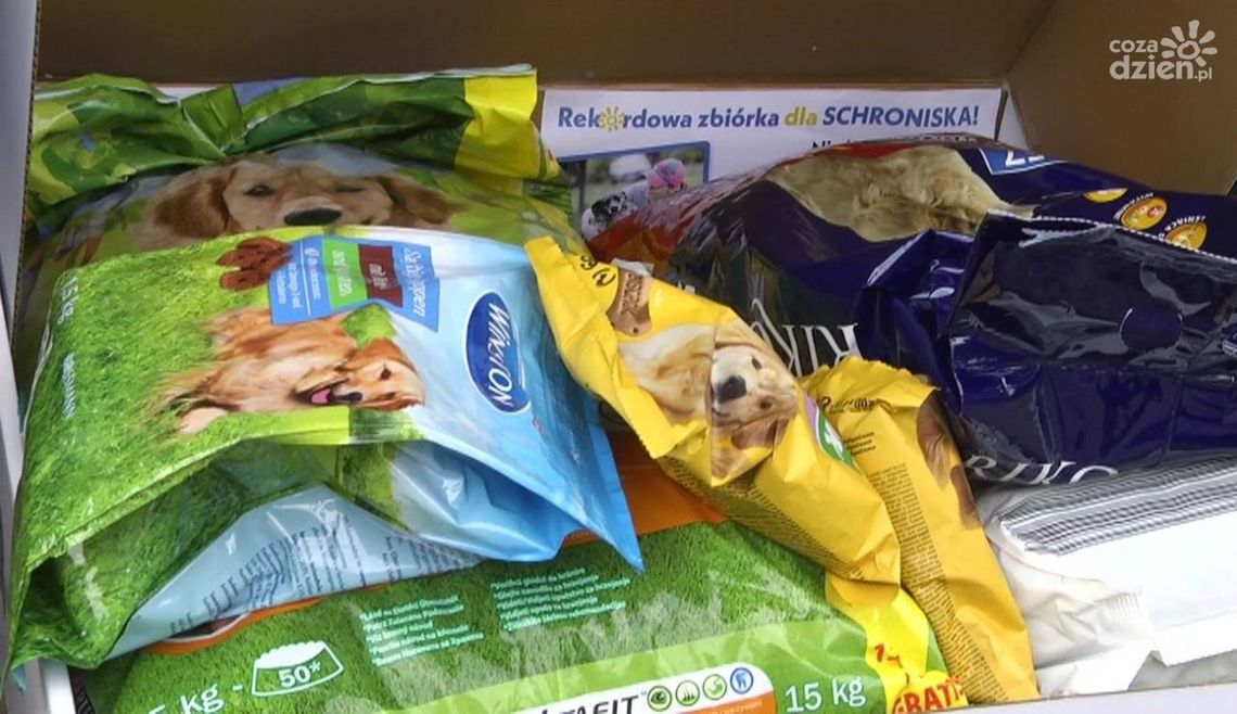Pomagamy bezdomnym zwierzętom! To była udana zbiórka!