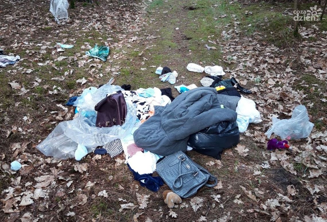 Ponad 10 tys. nowych zagrożeń. Zgłosili mieszkańcy Ponad 10 tys. nowych zagrożeń. Zgłosili mieszkańcy