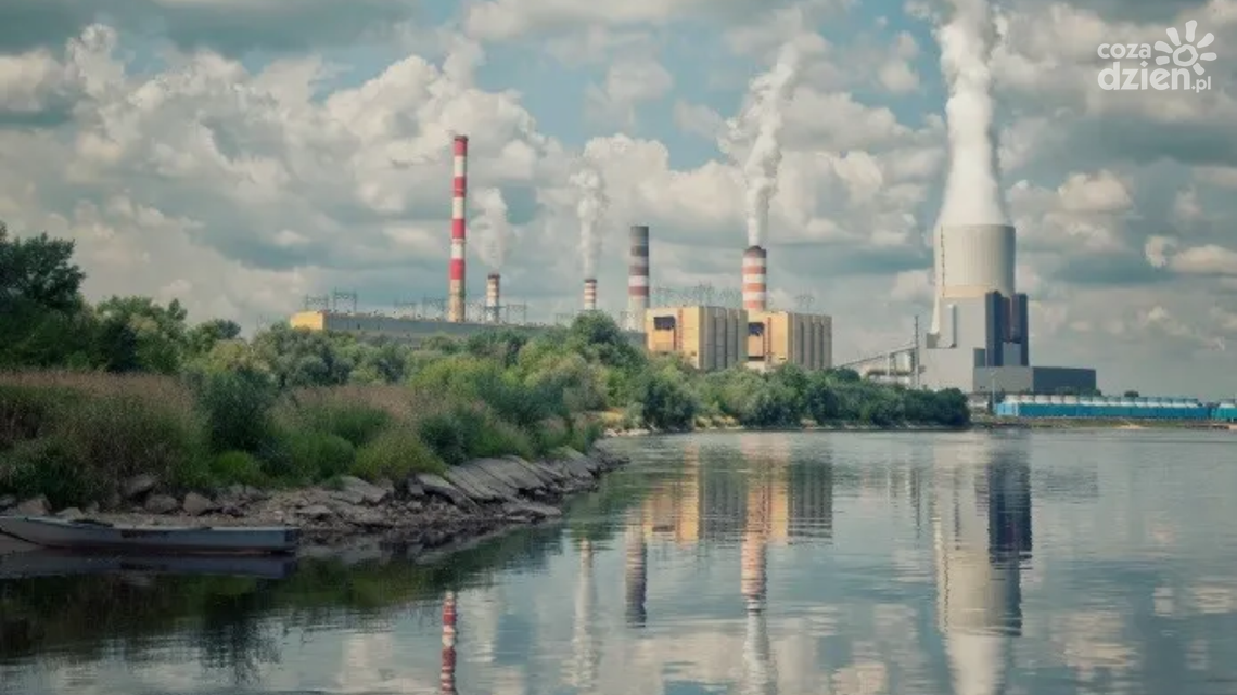 100 mln ryb rocznie może ginąć w Elektrowni Kozienice