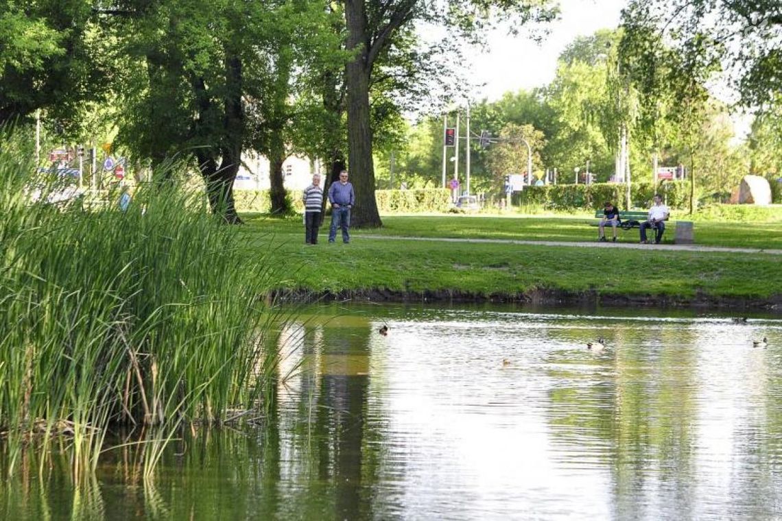 Ponad 20 mln zł na rewitalizację radomskich parków Ponad 20 mln zł na rewitalizację radomskich parków