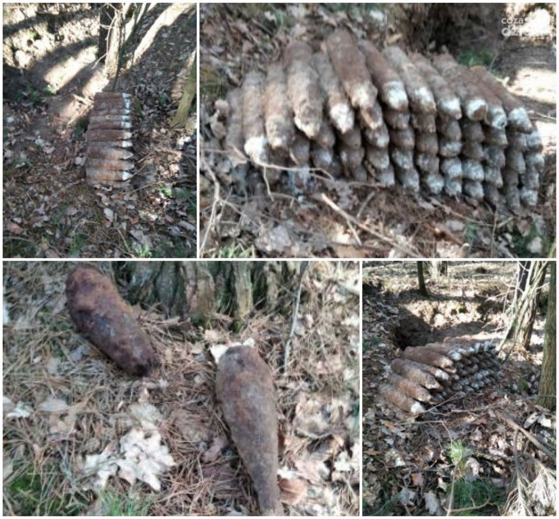 Ponad 50 niewybuchów znalezionych w lesie Ponad 50 niewybuchów znalezionych w lesie