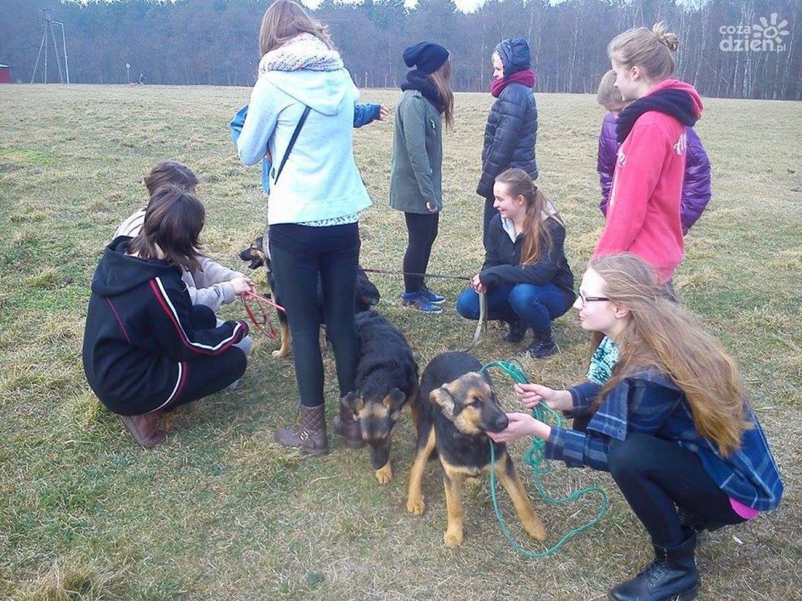 Ponad tona karmy dla zwierzaków. Ponad tona karmy dla zwierzaków.