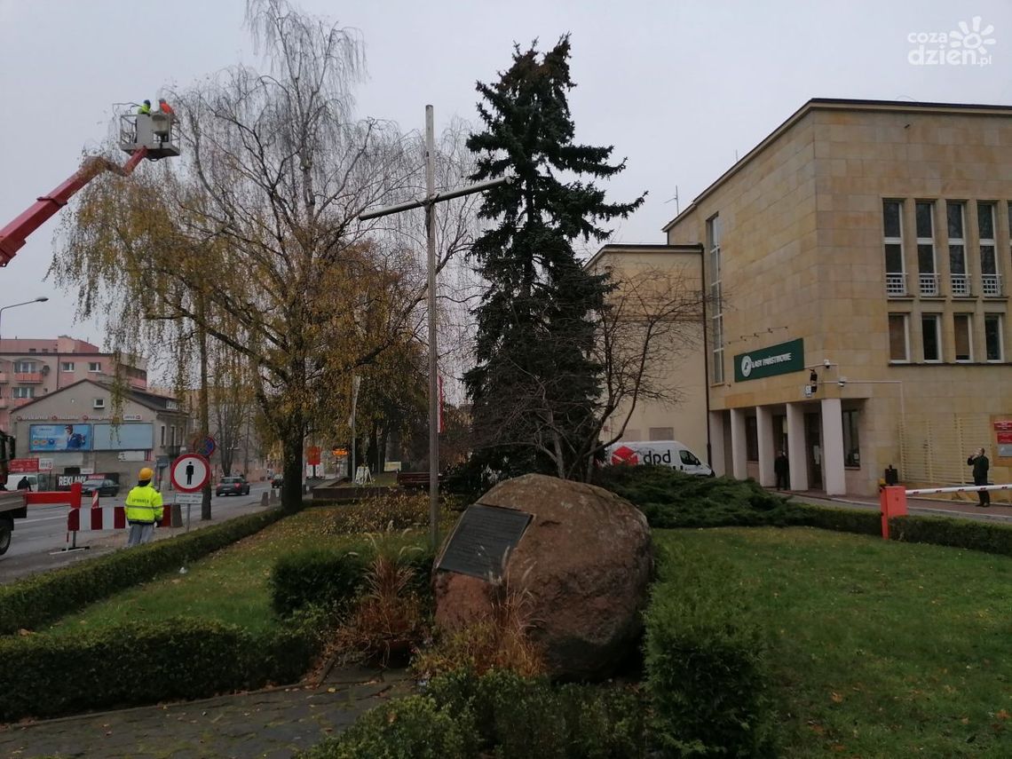 Porządki pod siedzibą Lasów Państwowych