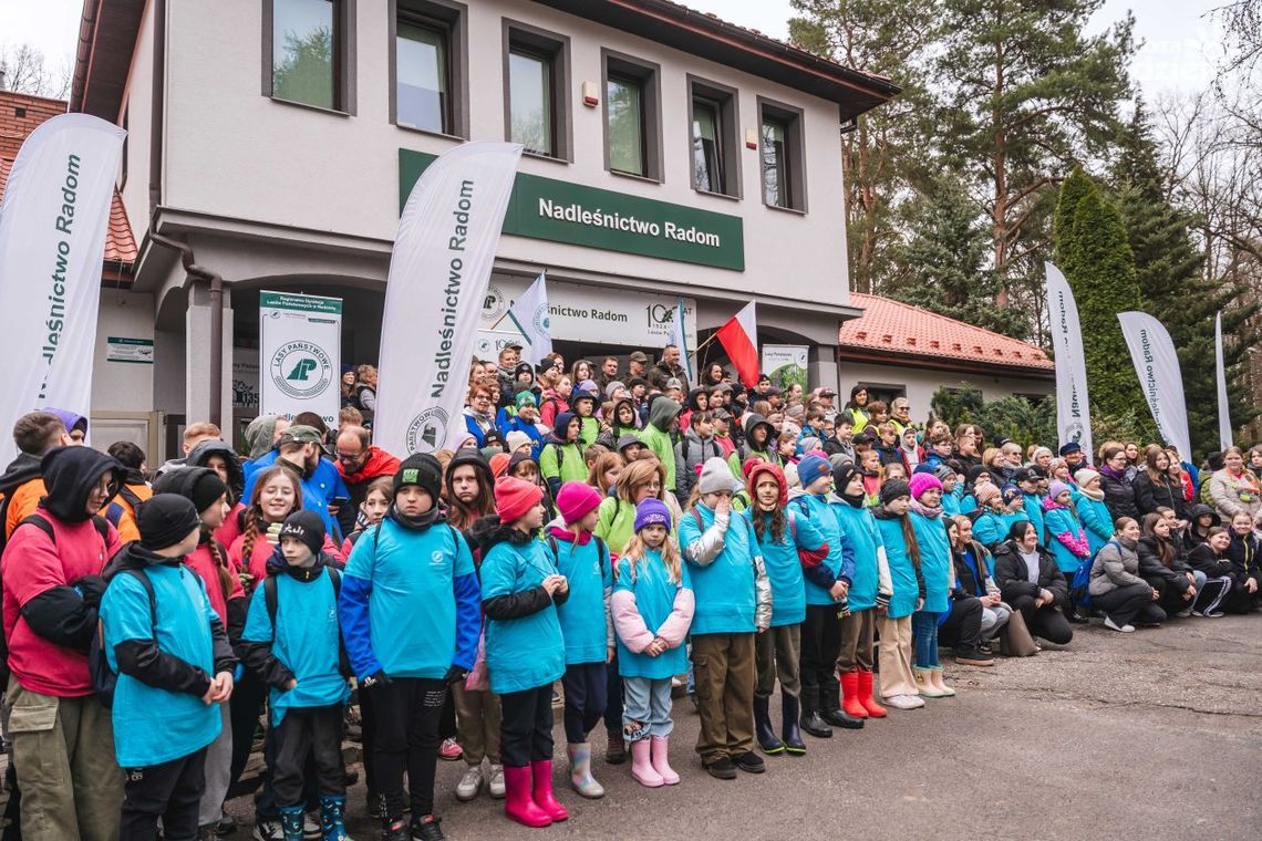 Posadzili las po raz 11. Posadzili las po raz 11.