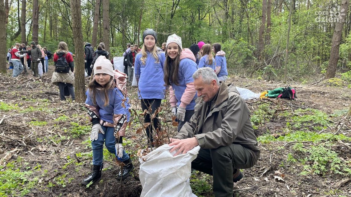 Posadzili ponad 3 tys. drzew