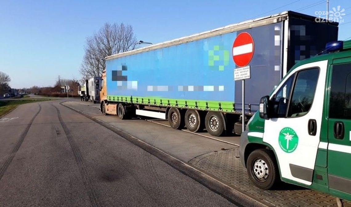 Posiadał jednorazowe zezwolenie, lecz wypełnione zmazywalnym atramentem Posiadał jednorazowe zezwolenie, lecz wypełnione zmazywalnym atramentem