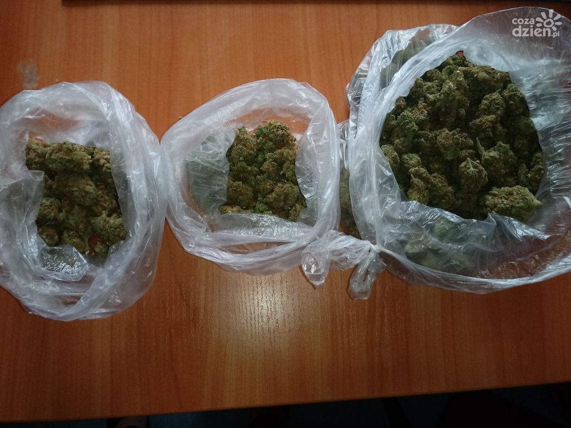 Posiadał prawie 150 g mariuhuany 