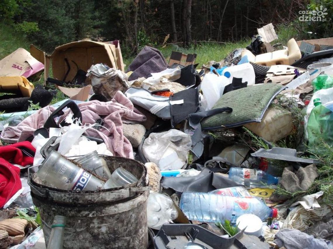 Posprzątają nielegalne śmietniska Posprzątają nielegalne śmietniska