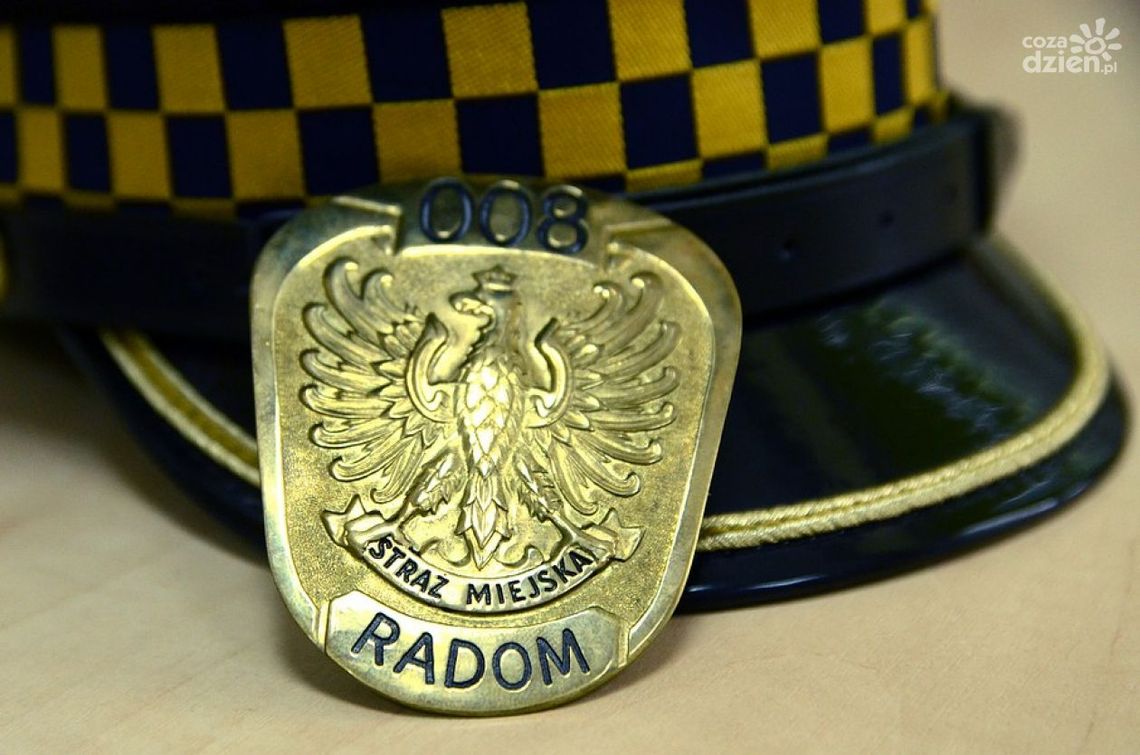 Postrzelony pies na Firleju?