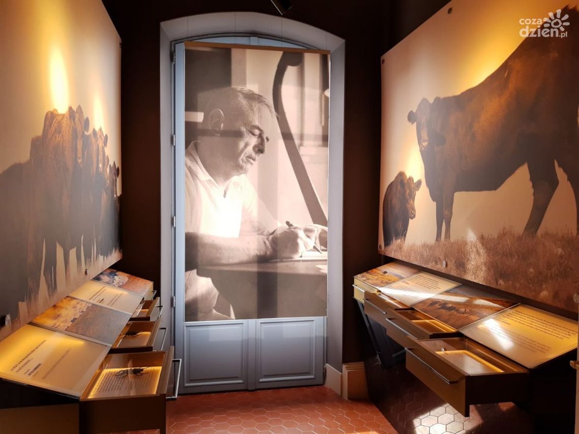 Poszerzona wystawa w Vence Poszerzona wystawa w Vence