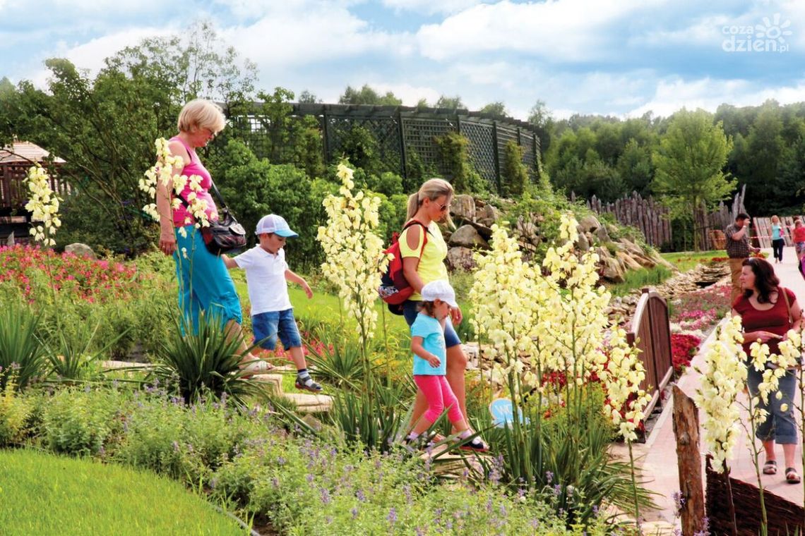 Poszukiwania małego Bulwiaka w Magicznych Ogrodach Poszukiwania małego Bulwiaka w Magicznych Ogrodach