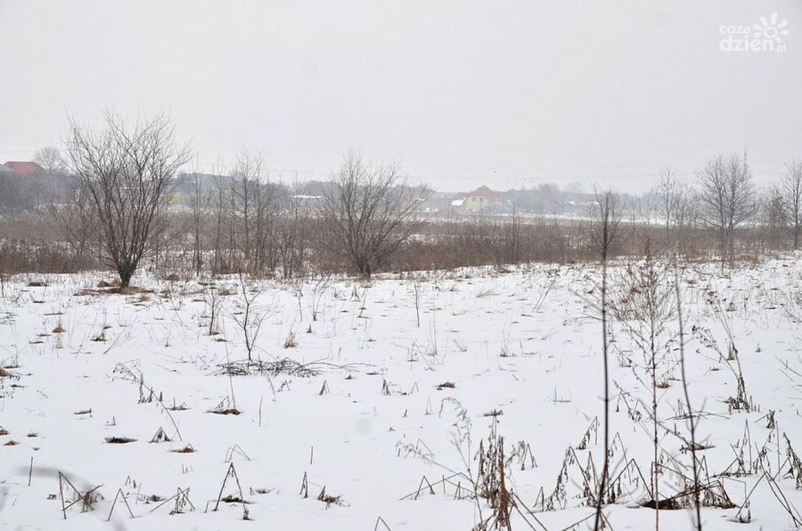 Potężna polska firma zainwestuje na Brzustówce?