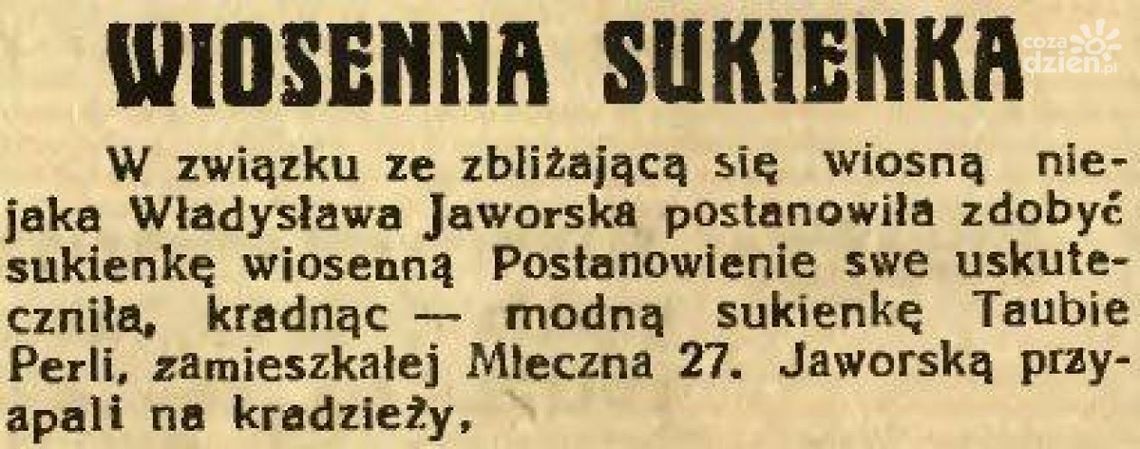 POTWORNA KRADZIEŻ NIEJAKIEJ JAWORSKIEJ