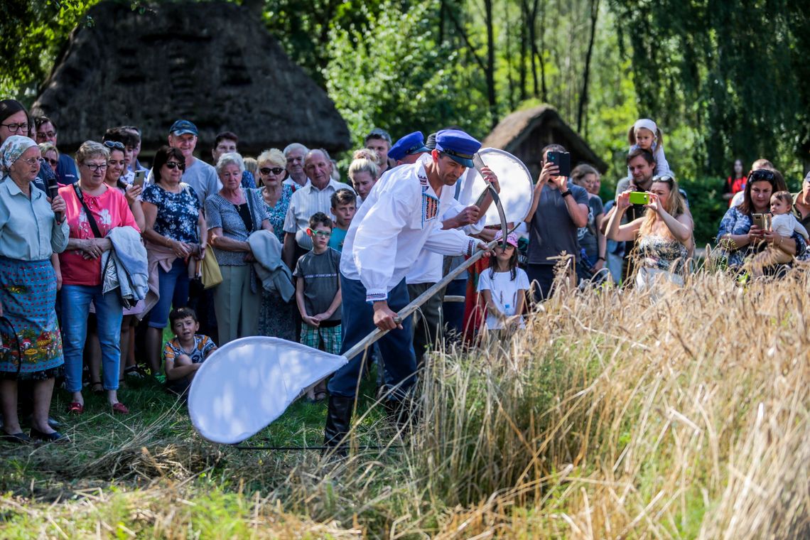 Powrót do żniw sprzed lat – Jastrzębia zaprasza na wyjątkową inscenizację!