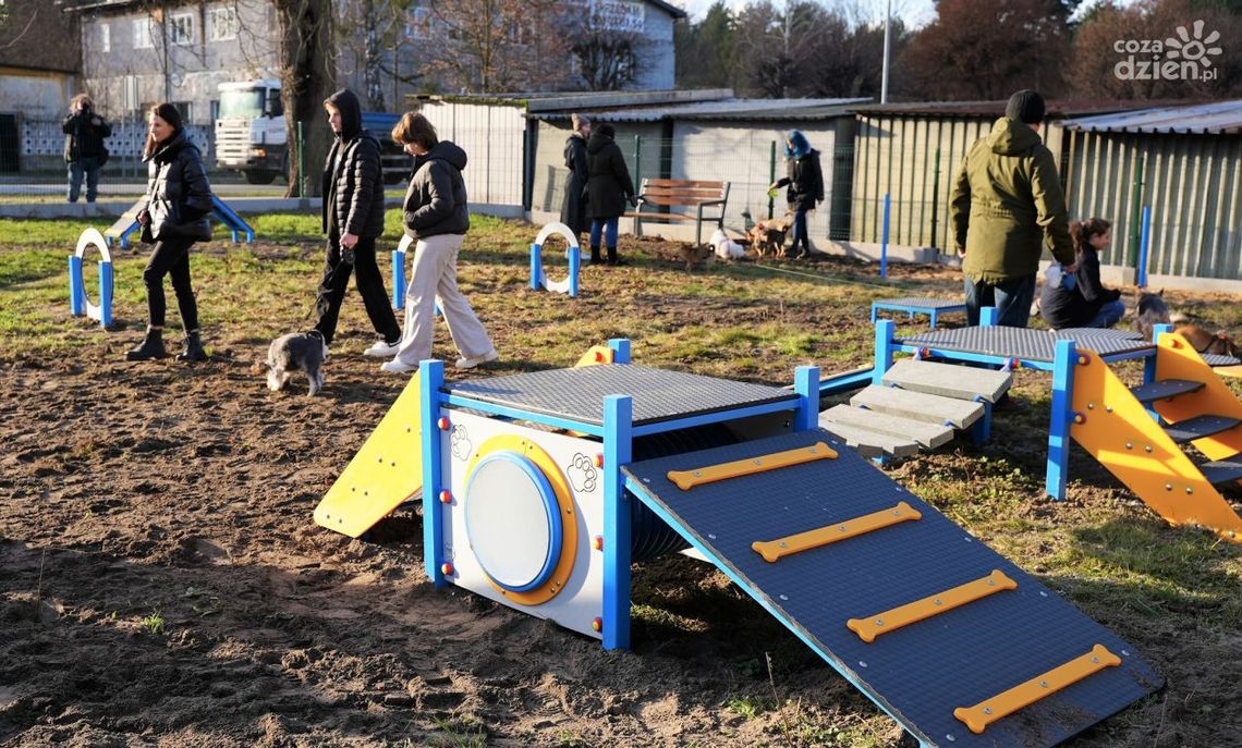 Powstał wybieg dla psów w Kozienicach