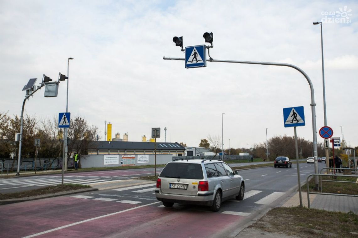 Powstaną światła dla pieszych na Szarych Szeregów Powstaną światła dla pieszych na Szarych Szeregów
