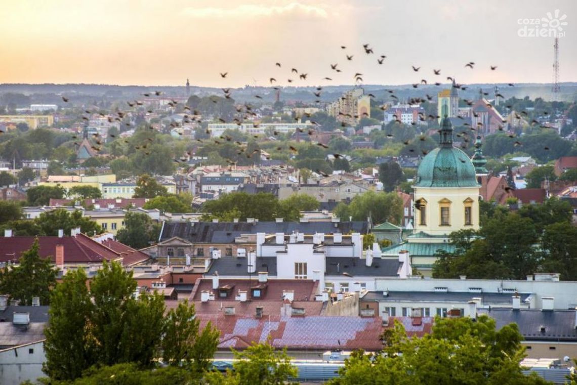 Powstanie Lokalna Organizacja Turystyczna Powstanie Lokalna Organizacja Turystyczna