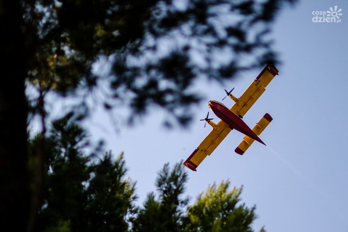 Pożar lasu pod Jastrzębiem. W akcji 10 zastępów