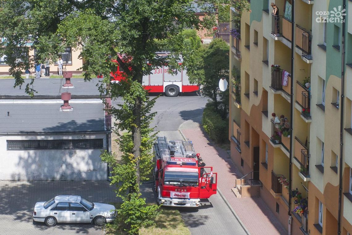 Pożar na Plantach Pożar na Plantach
