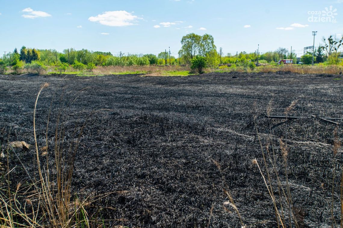 Pożar na ul. Olsztyńskiej Pożar na ul. Olsztyńskiej