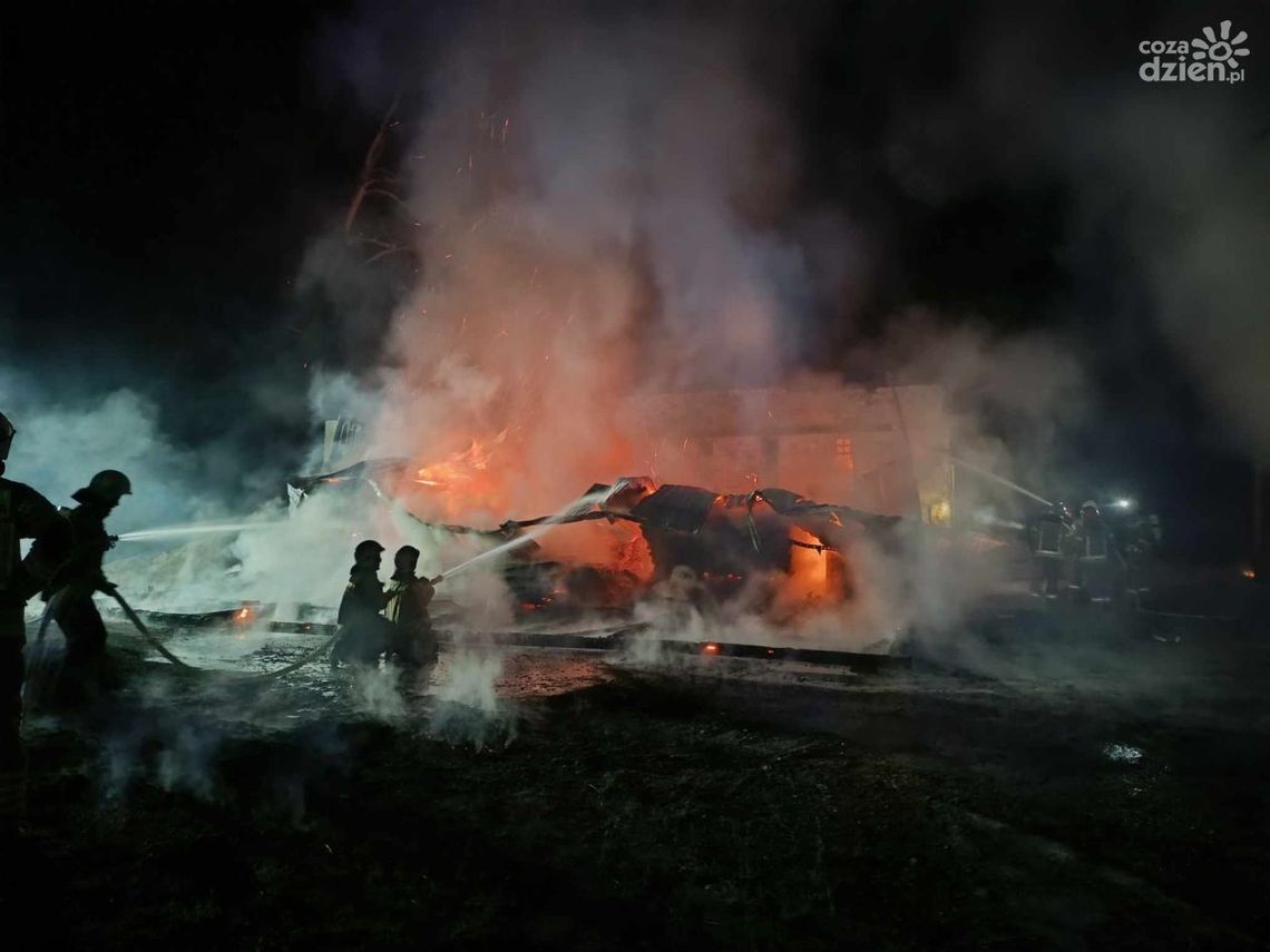 Pożar pelleciarki i hali magazynowej w Pionkach