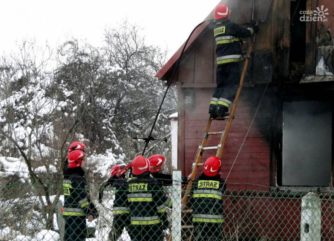 Pożar pustostanu przy ulicy Drewnianej w Radomiu