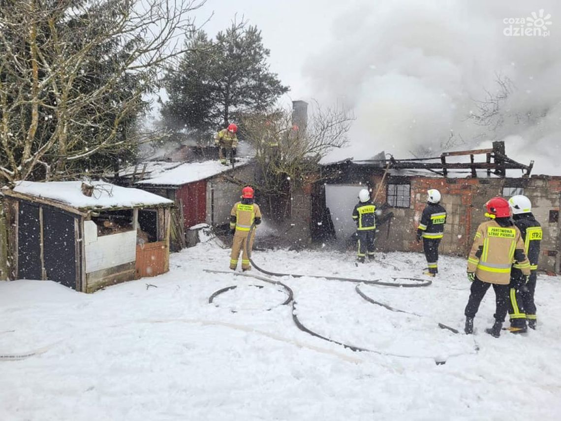 Pożar pustostanu w miejscowości Miejska Dąbrowa