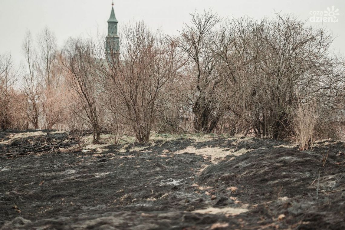 Pożar traw na Piotrówce